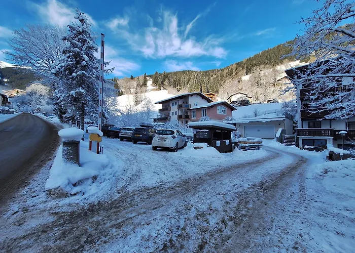 Peacock - Steinbock *