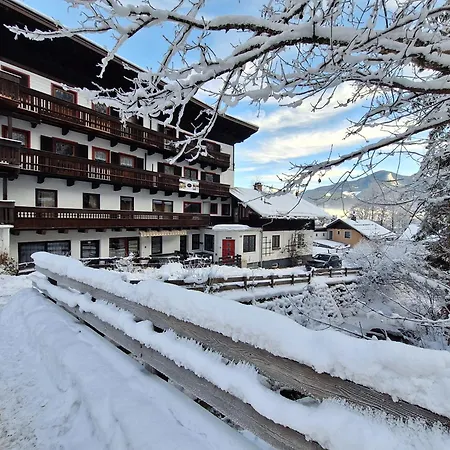Peacock - Steinbock Daire